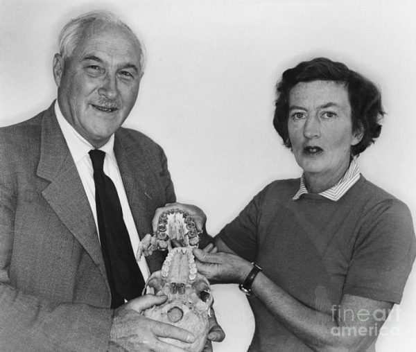 Legacy of Mary Leakey - Marriage to Louis Leakey and Collaborative Work